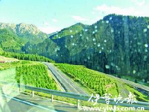 218線國道 218線國道