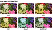 能夠準確還原色彩的白平衡