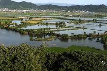浙江諸暨白塔湖國家濕地公園