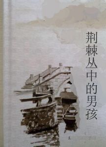 荊棘叢中的男孩 荊棘叢中的男孩