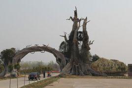 東明黃河森林公園 東明黃河森林公園