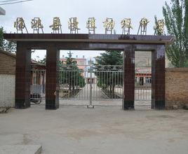 臨洮縣漫窪初級中學 臨洮縣漫窪初級中學