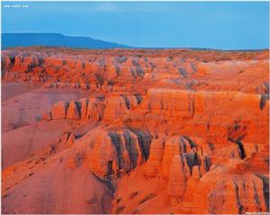 《戈壁來客》 《戈壁來客》