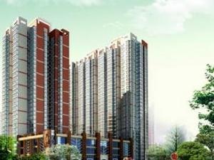 卡農國際 卡農國際