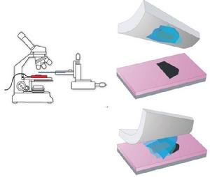 乾法轉印 乾法轉印