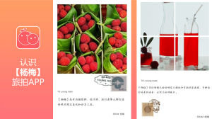 楊梅旅拍 楊梅旅拍