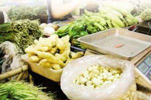 瘧疾醋蔥姜蒜療法 瘧疾醋蔥姜蒜療法