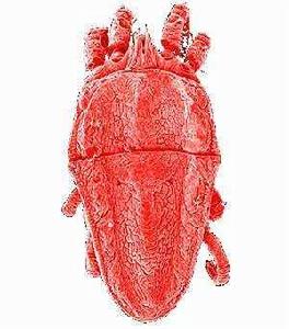 卵形短須蟎 卵形短須蟎