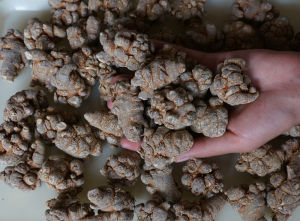 滿澤三七 滿澤三七