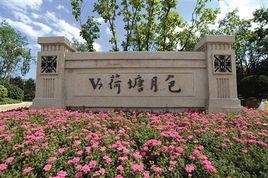 V7荷塘月色 V7荷塘月色