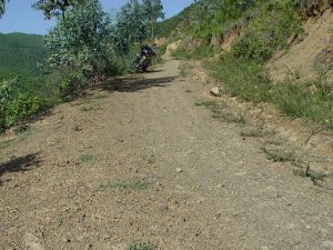 阿里六村 阿里六村