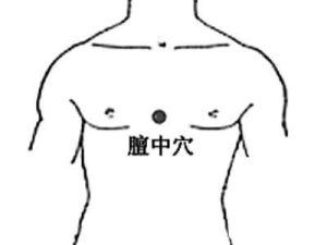 六華灸穴 六華灸穴