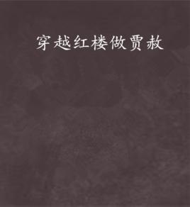 穿越紅樓做賈赦 穿越紅樓做賈赦