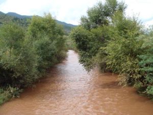 雞邑自然村 雞邑自然村