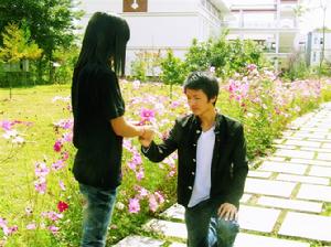 似景流年 似景流年