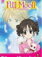 本多知惠子作品