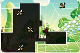 捕捉大黃蜂 捕捉大黃蜂