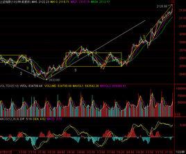逼空行情 逼空行情
