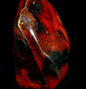 大紅袍石 大紅袍石