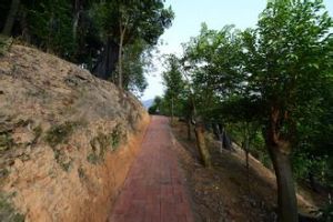 莞香非物質文化遺產保護園 莞香非物質文化遺產保護園