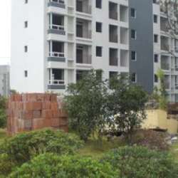 竹芸山水 竹芸山水