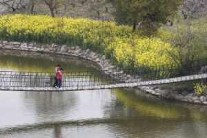 濱海世外桃源 濱海世外桃源