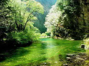 馬龍野花溝 馬龍野花溝