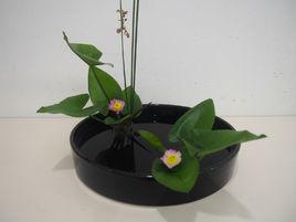 小原流花道 小原流花道