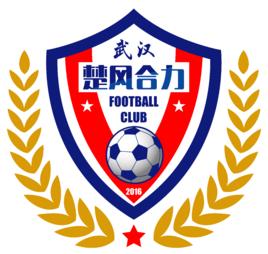 湖北楚風合力足球俱樂部 湖北楚風合力足球俱樂部