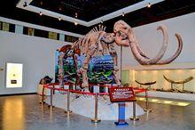 西安高陵奇石博物館