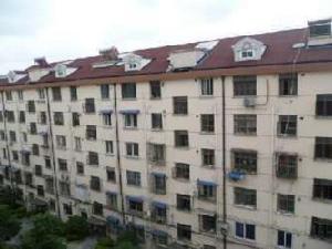 銀杏新村 銀杏新村