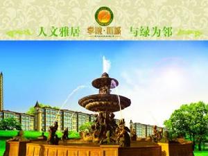 學院新城 學院新城