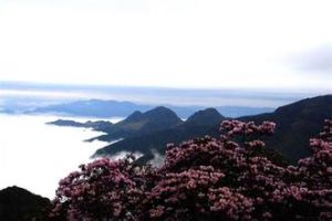轎子山 轎子山