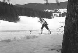 麥格納·索爾貝格 麥格納·索爾貝格