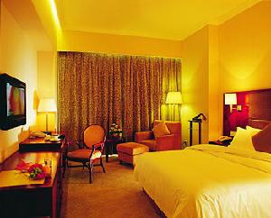 長沙通程溫泉大酒店室內