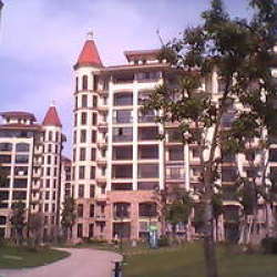 洛城橄欖郡 洛城橄欖郡