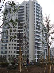 城市經典二期彩虹灣 城市經典二期彩虹灣