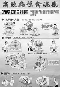 高致病性禽流感 高致病性禽流感