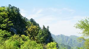 木札嶺原始生態旅遊區