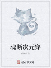 魂斷次元穿 魂斷次元穿