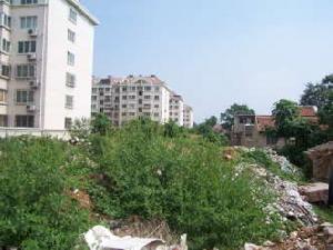 廣業濱河家園二期 廣業濱河家園二期