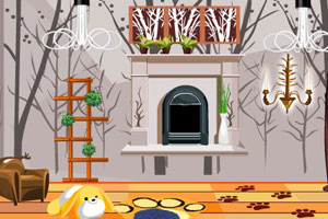 客房裝飾 客房裝飾