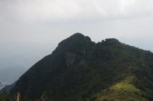 缺鼻峰 缺鼻峰