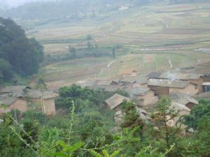 樹木架革村 樹木架革村