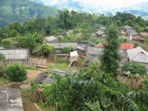 王布龍村 王布龍村