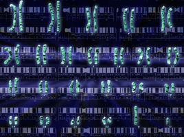 功能基因組學 功能基因組學