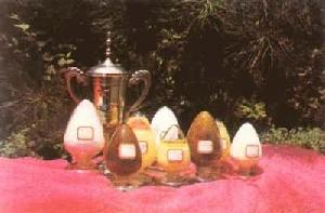 離子交換劑 離子交換劑