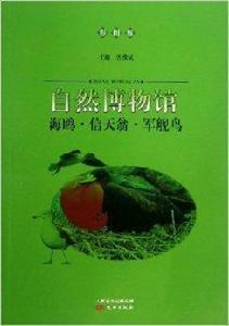 自然博物館：海鷗·信天翁·軍艦鳥