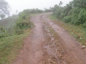 楊家坪自然村 楊家坪自然村