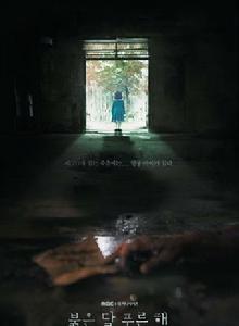 赤月青日 赤月青日